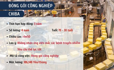 ĐƠN HÀNG ĐÓNG GÓI CÔNG NGHIỆP - CHIBA